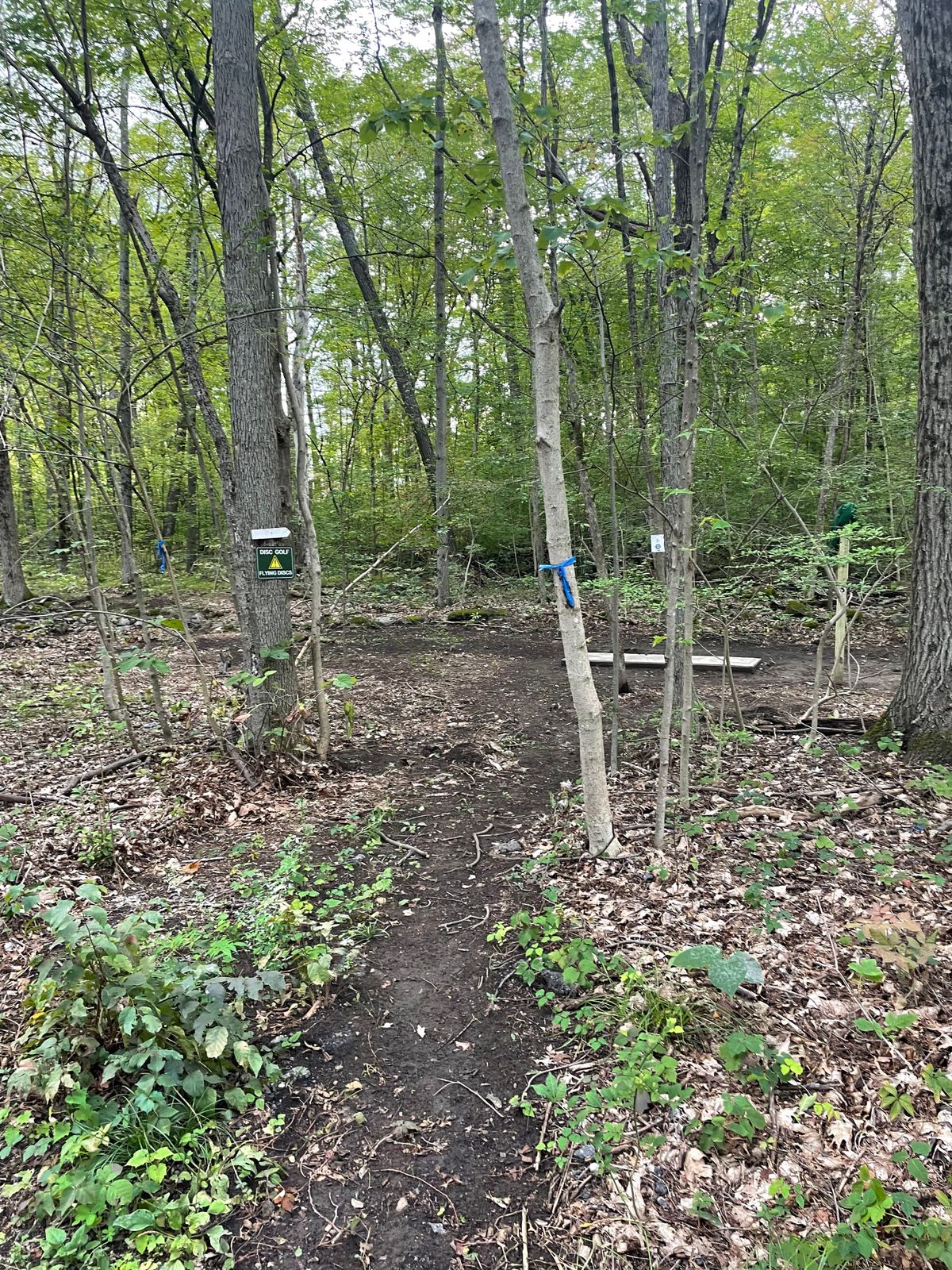Entrance to hole 6