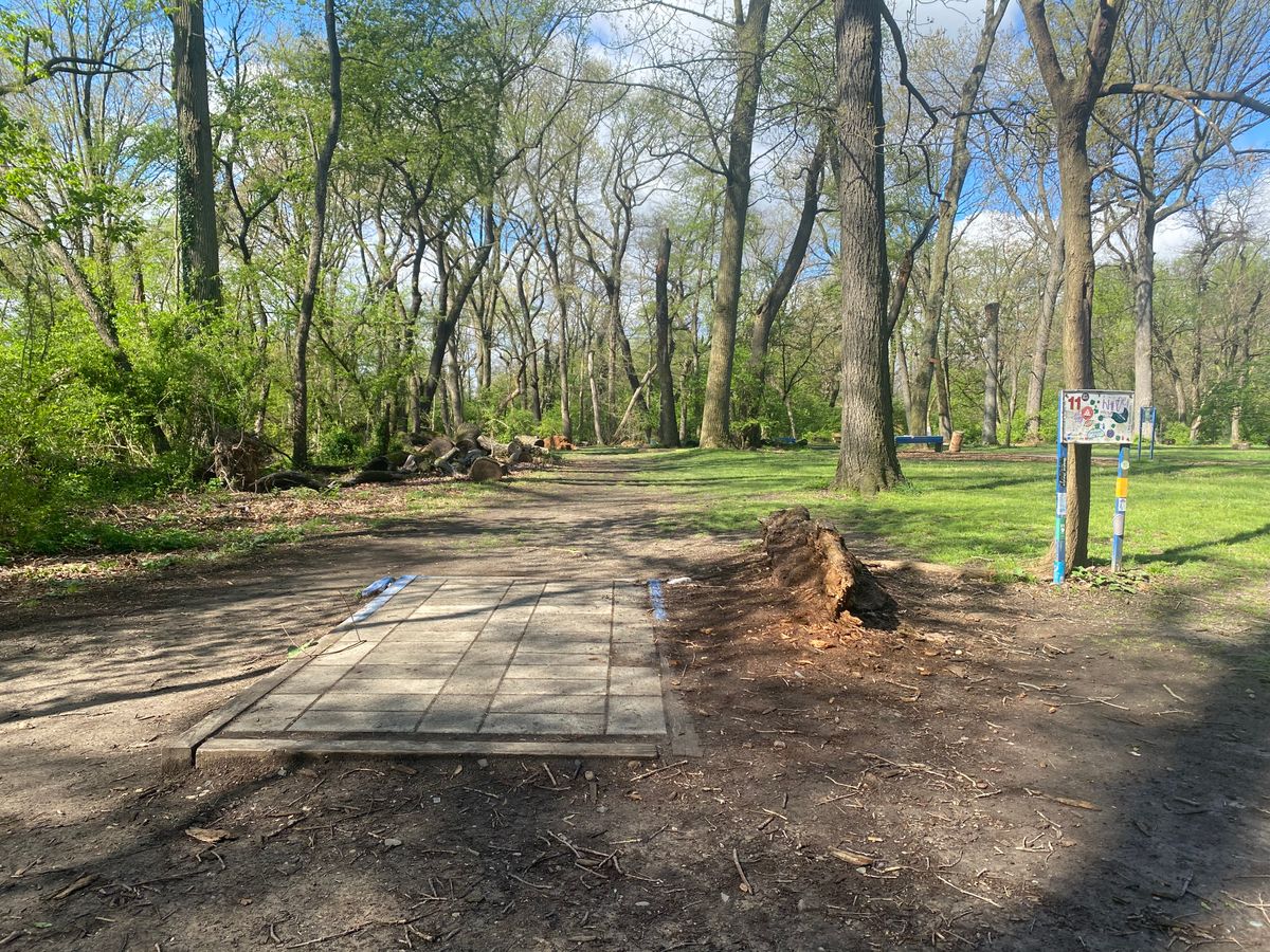 Hole 11 Blue