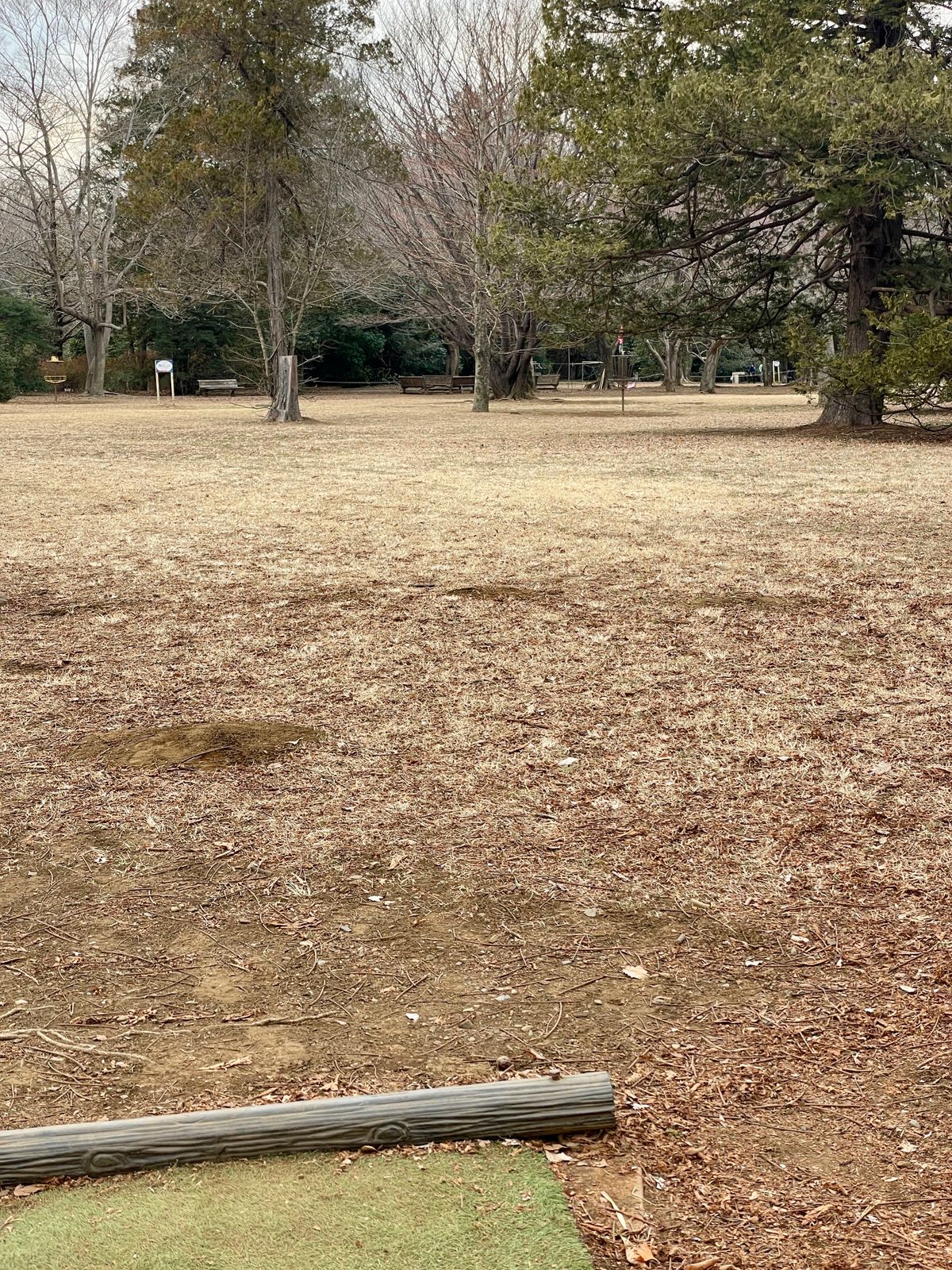 No. 10 Par 3 50m
