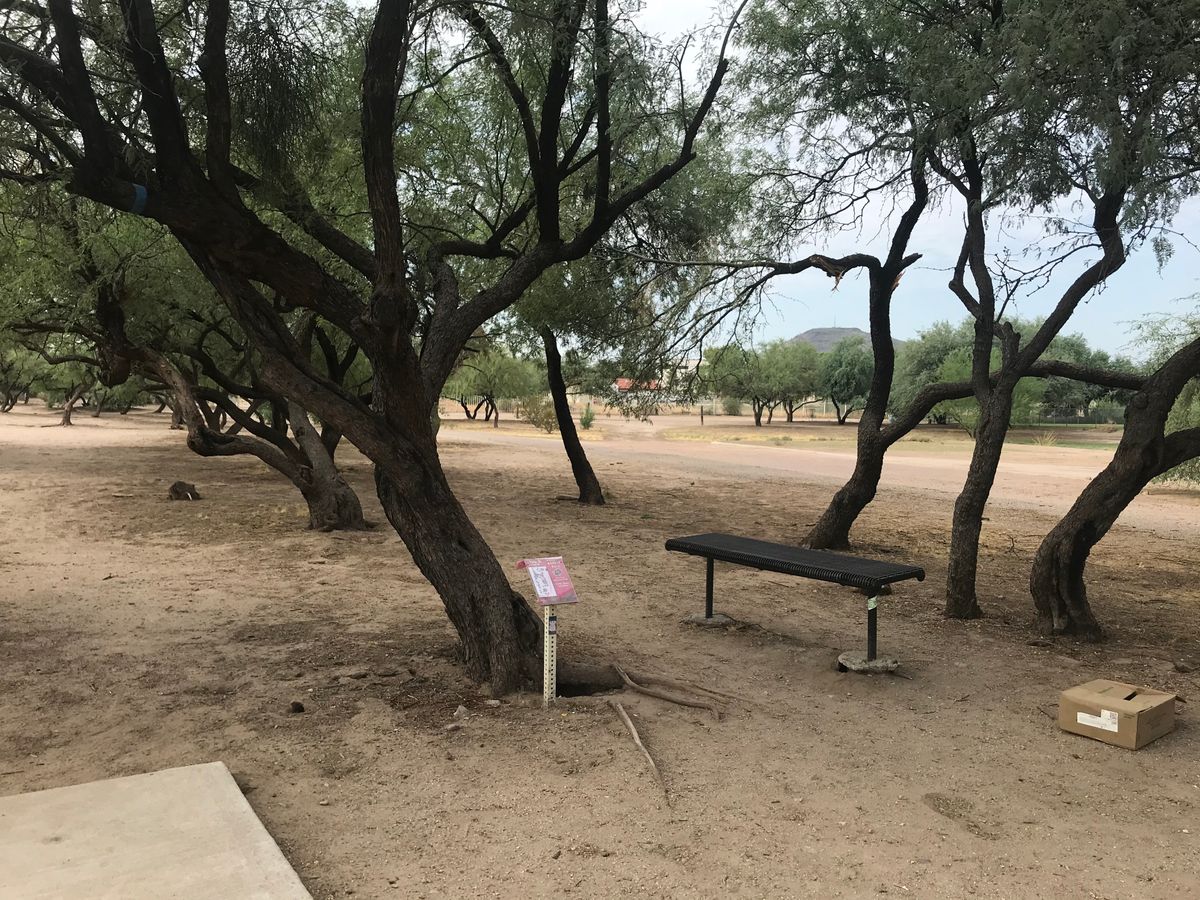 Hole 8 Pad A