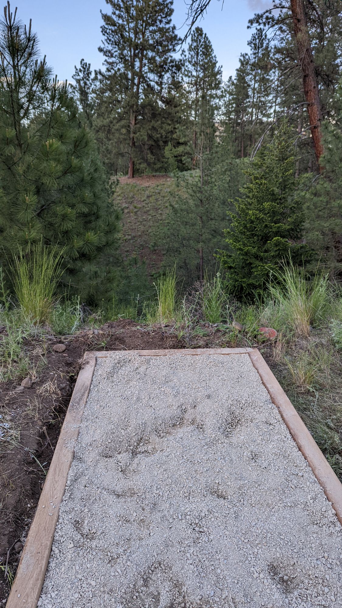 Hole 5, basket is too the right behind the trees.