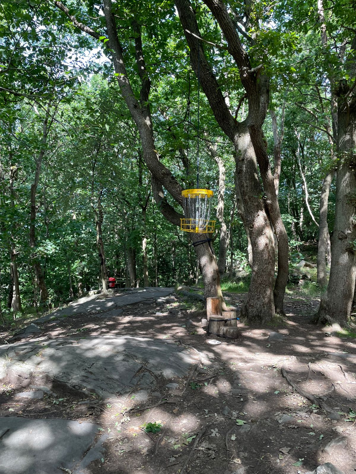 Many nice touches at this course: small sculptures, cool stairs etc. Well worth the small fee!