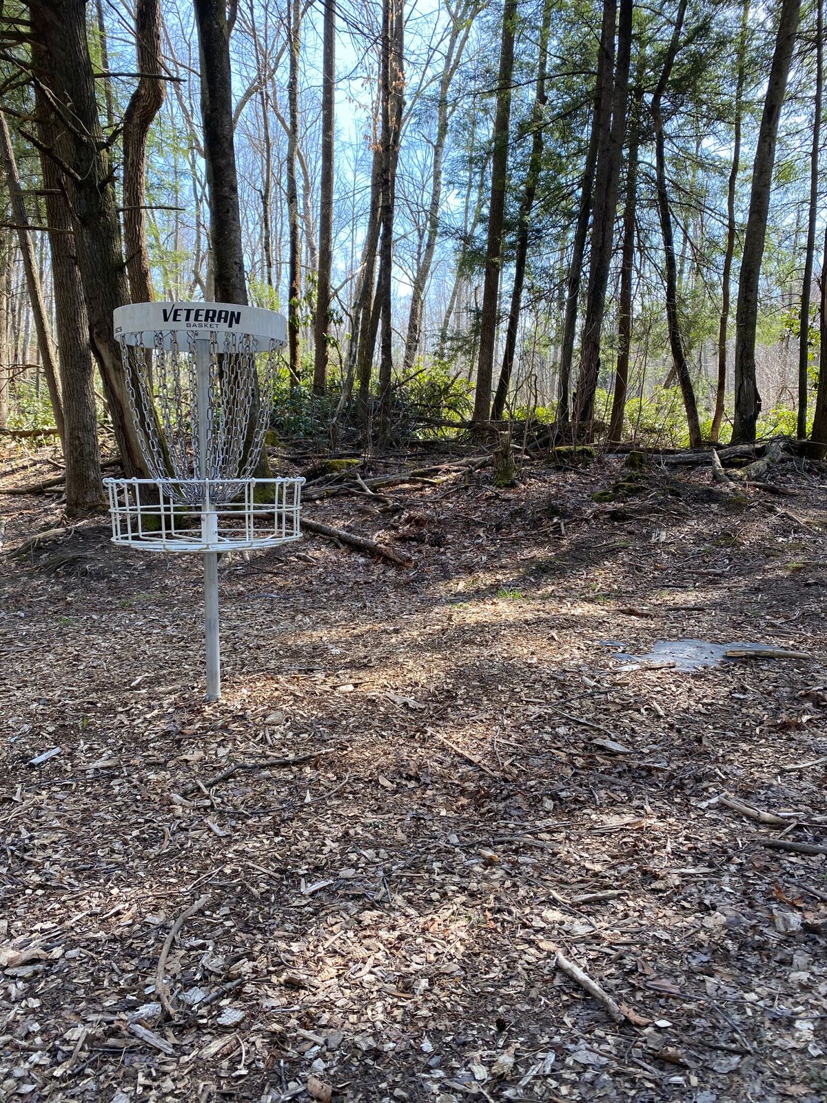 Hole 4