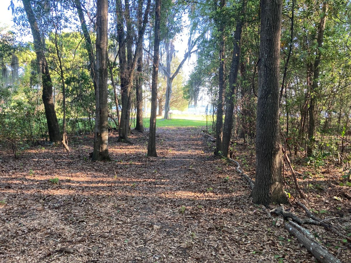 16th hole from T