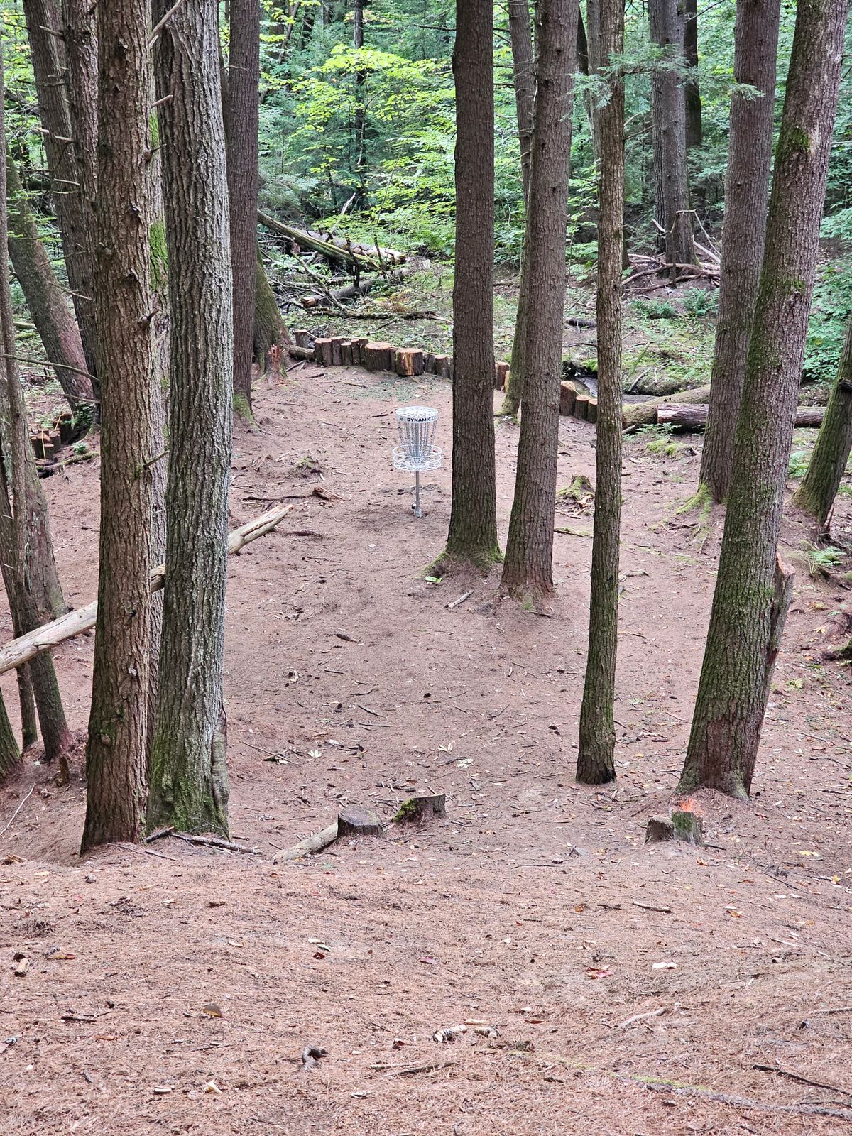 Hole 8