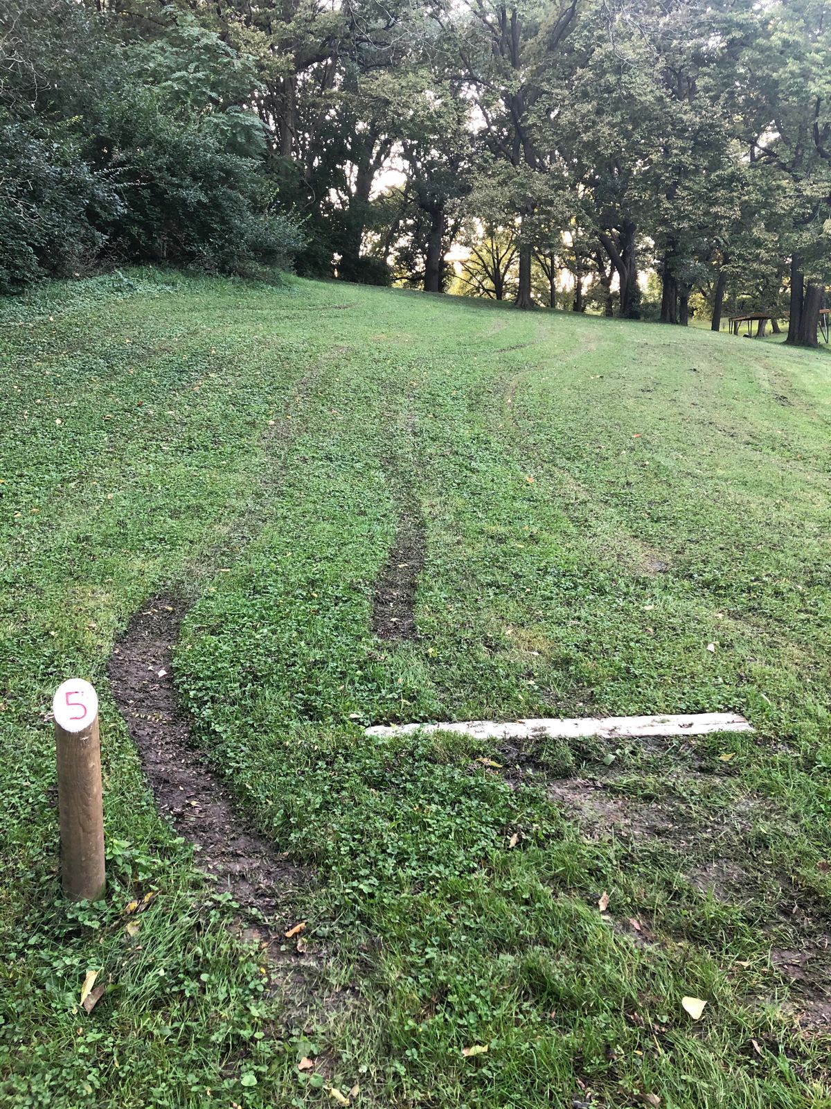 Hole 5 is a cool uphill throw through a relatively small window.