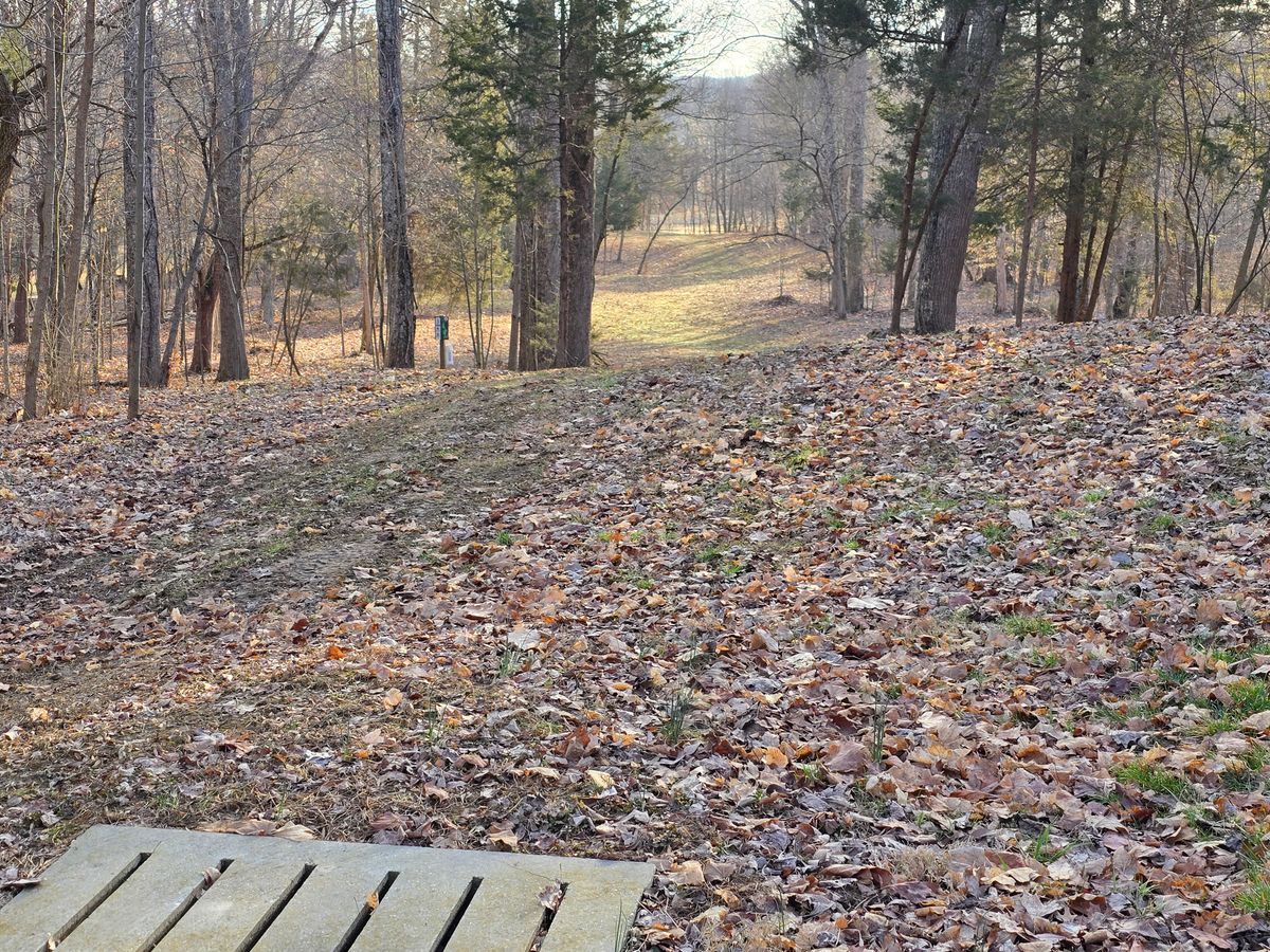 Hole 3 Long Tee.