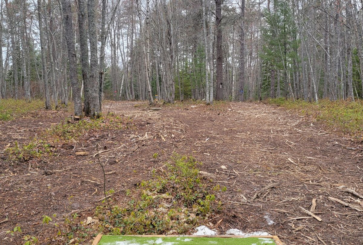 Hole 6 Reds: Forehand or Backhand?