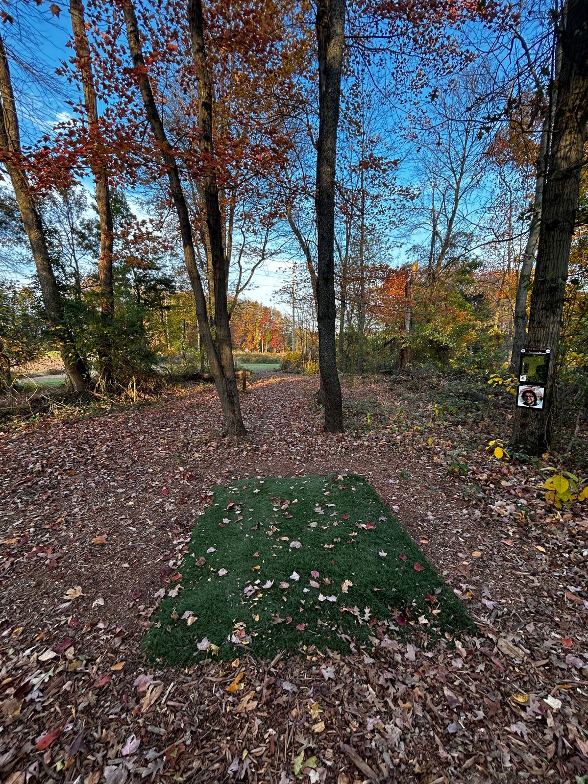 Hole 10