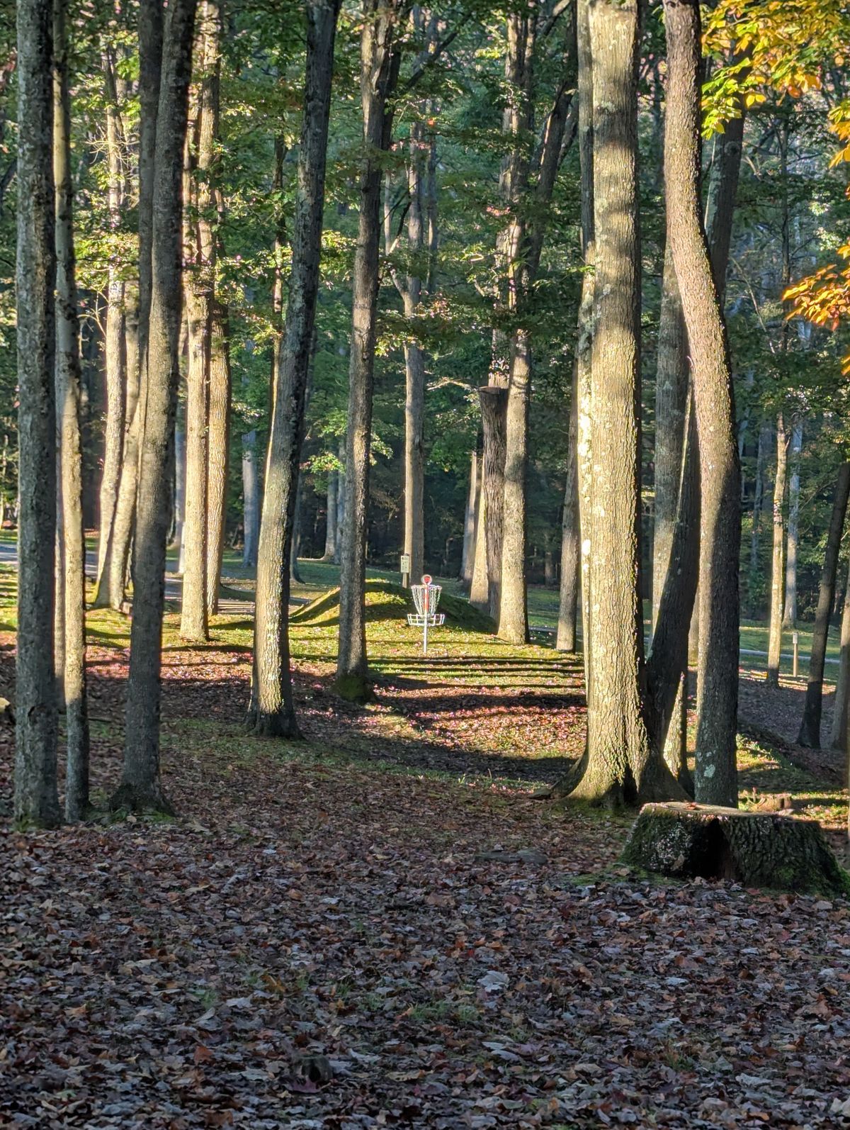 Mid-fairway on hole #3