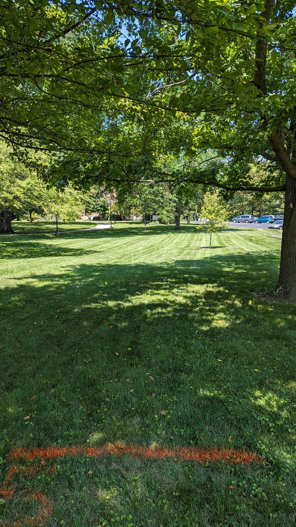 Hole 3 Tee
