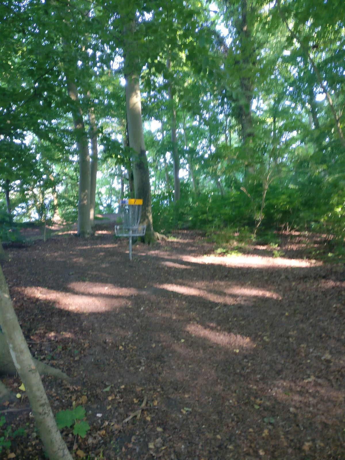 Hole 7