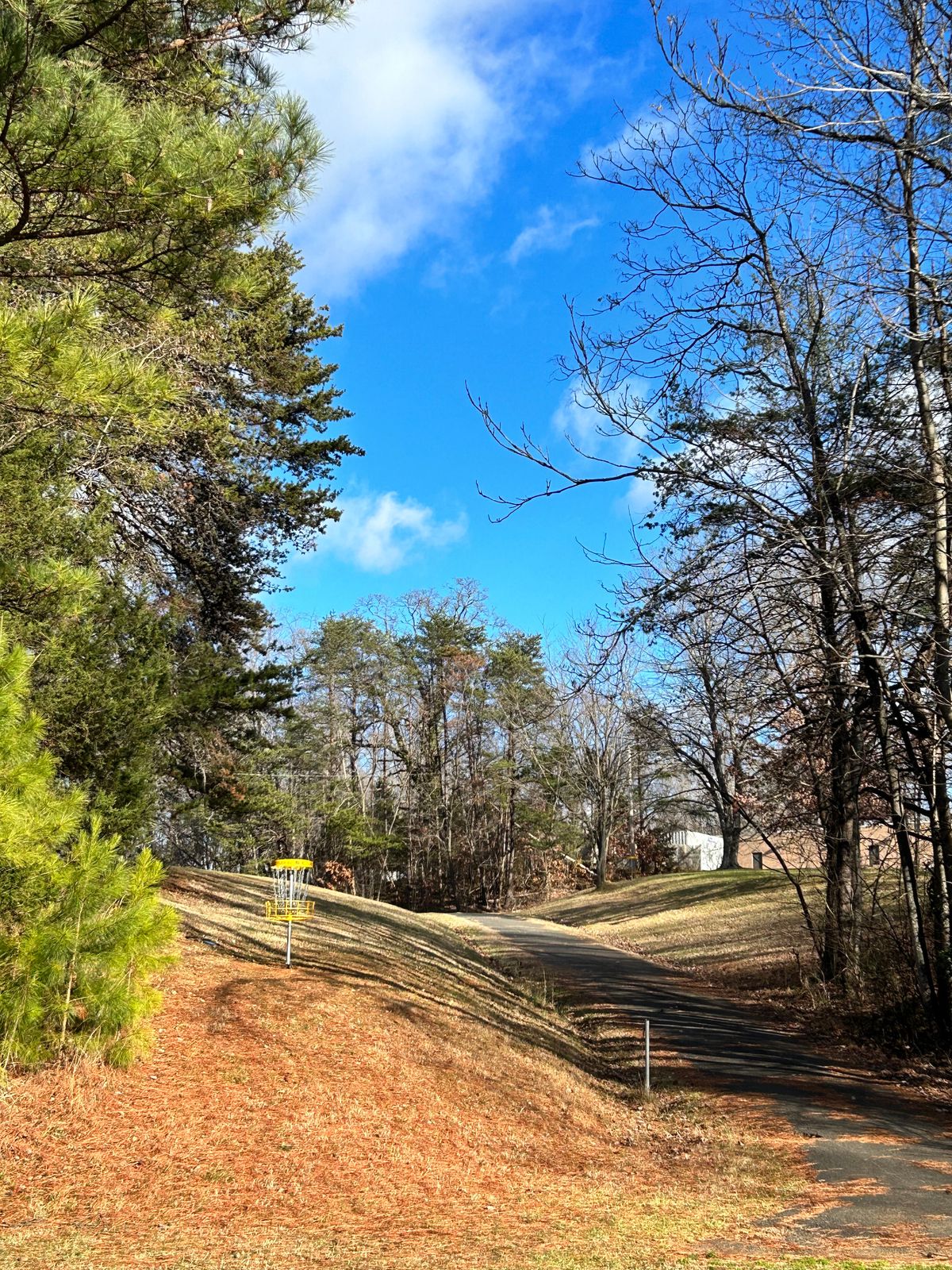 Hole 5 hilly putting green