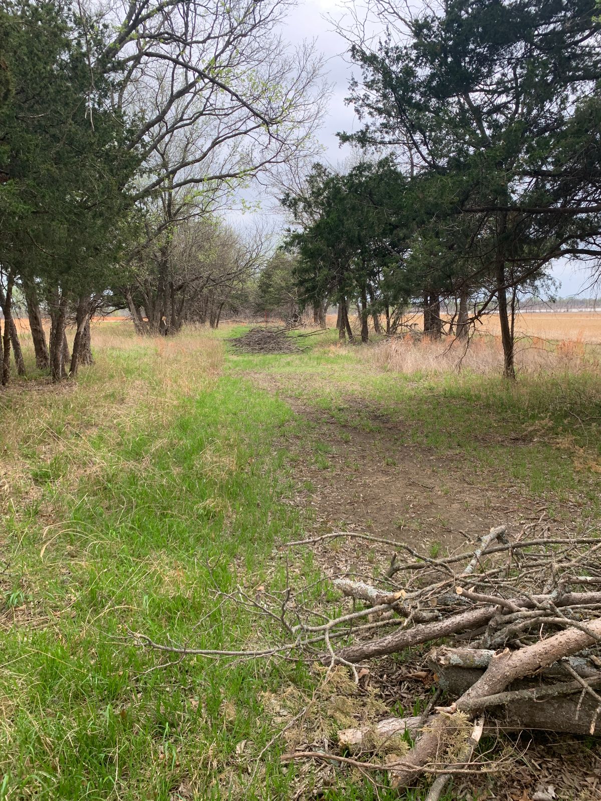 Hole 4 from fairway