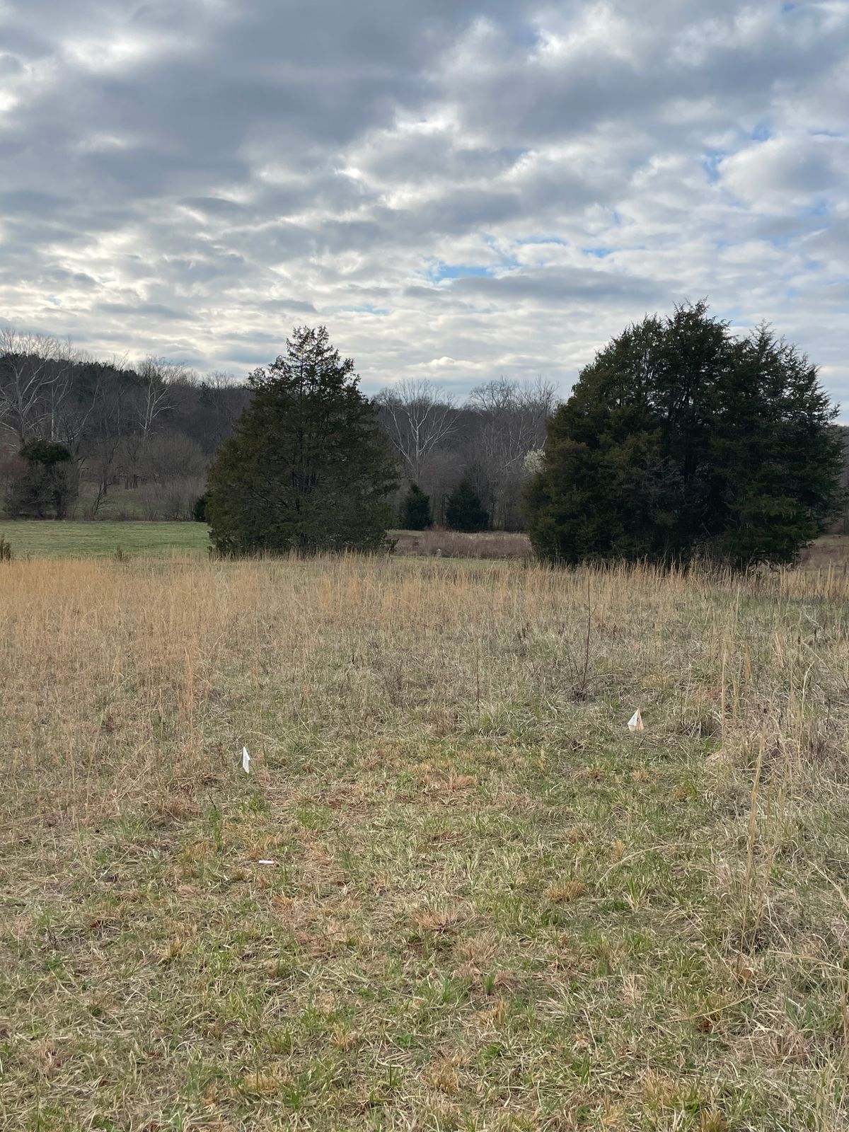 Hole 4’s view from tee box. Option short or long 380-480 feet