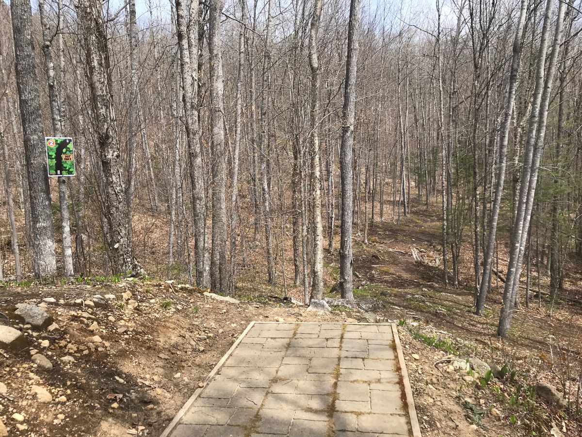 Hole 2