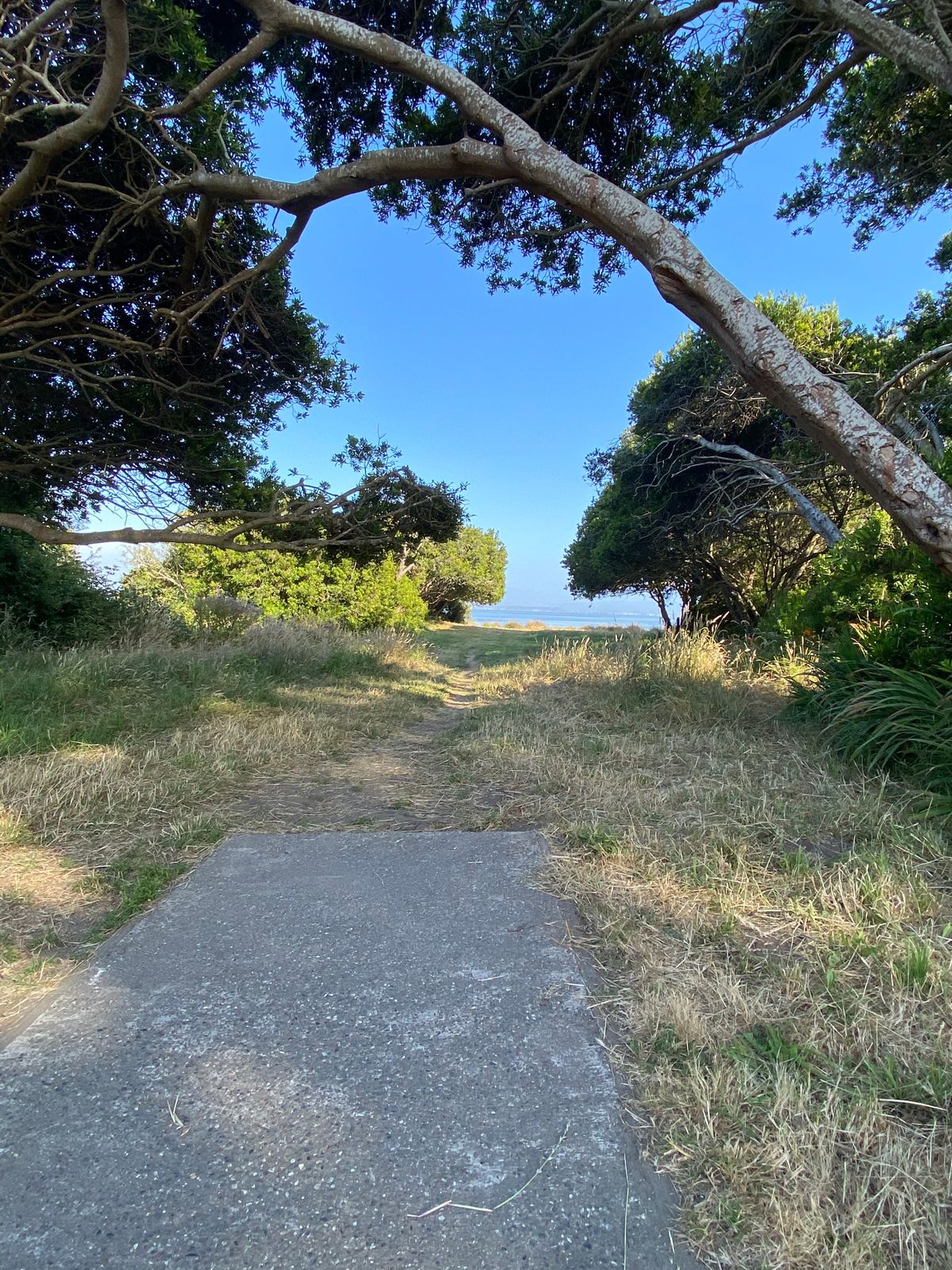 Beautiful view of Humboldt Bay