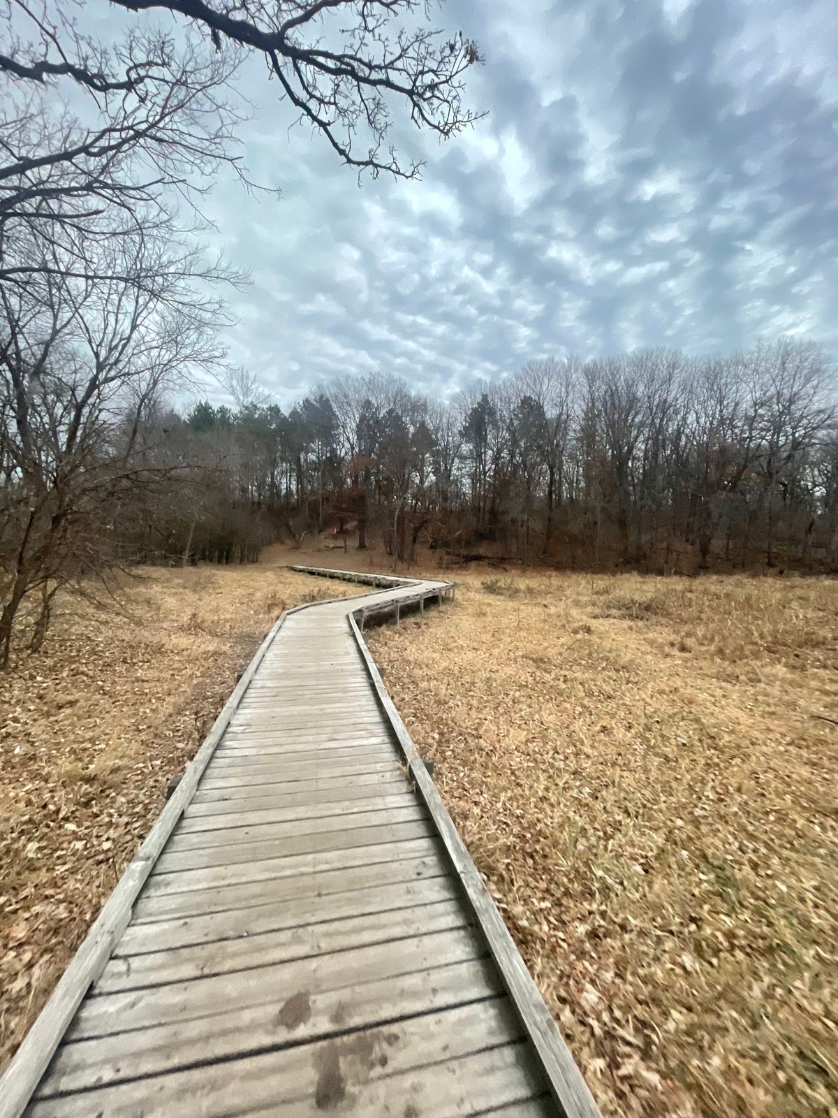Hole 1’s walkway. Can be all wet or dry depending on recent weather