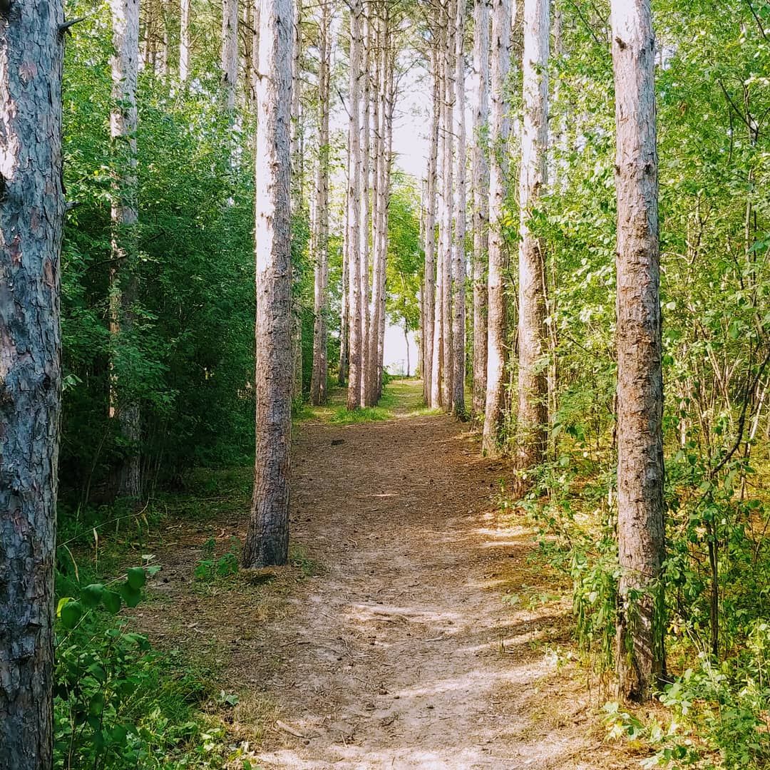 Looking up towards Short from fairway