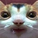 User avatar image