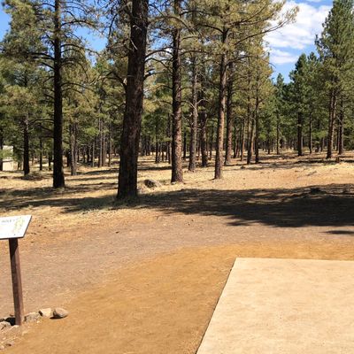 Hole 1