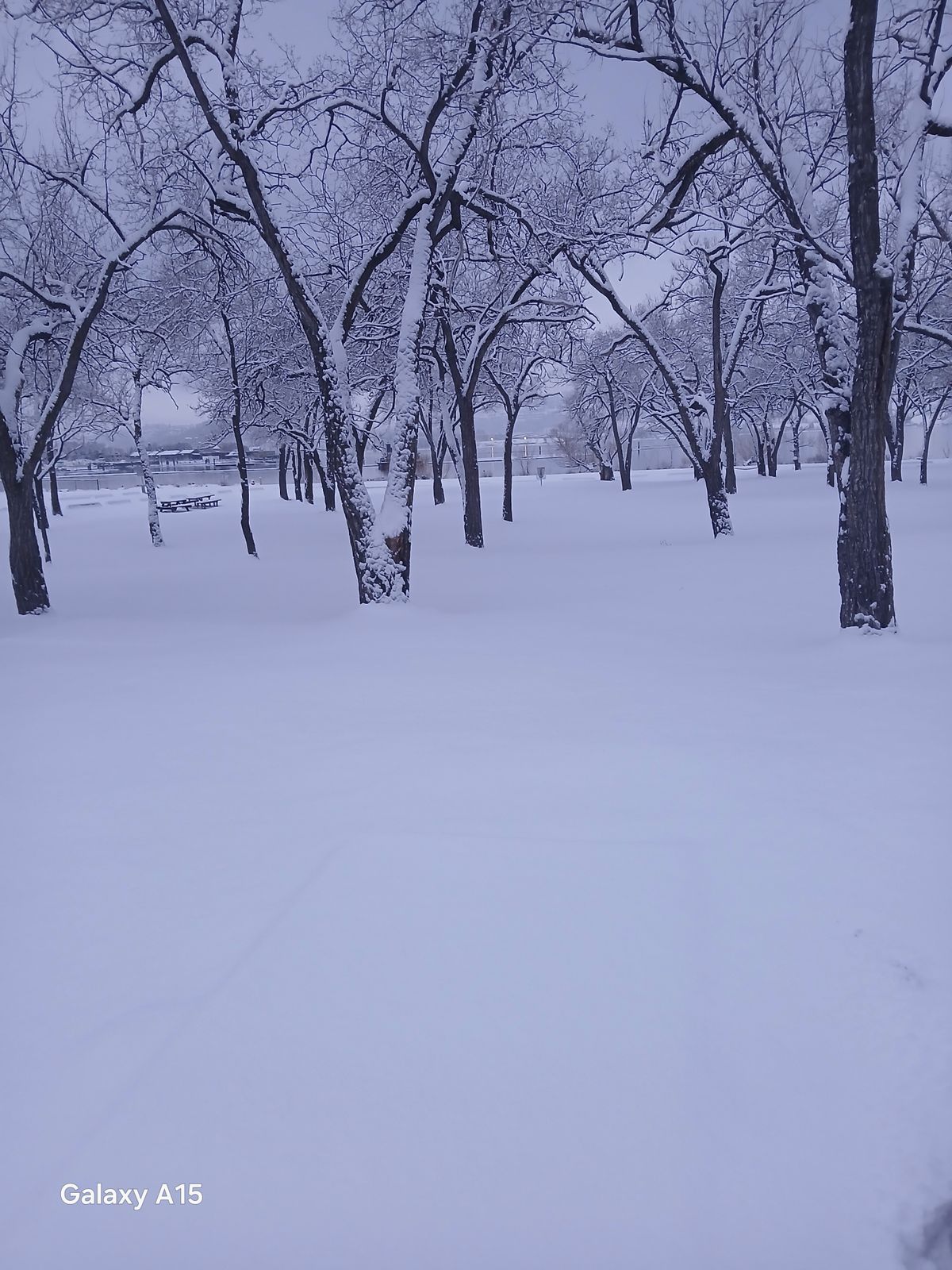 Hole 4 in fresh pow