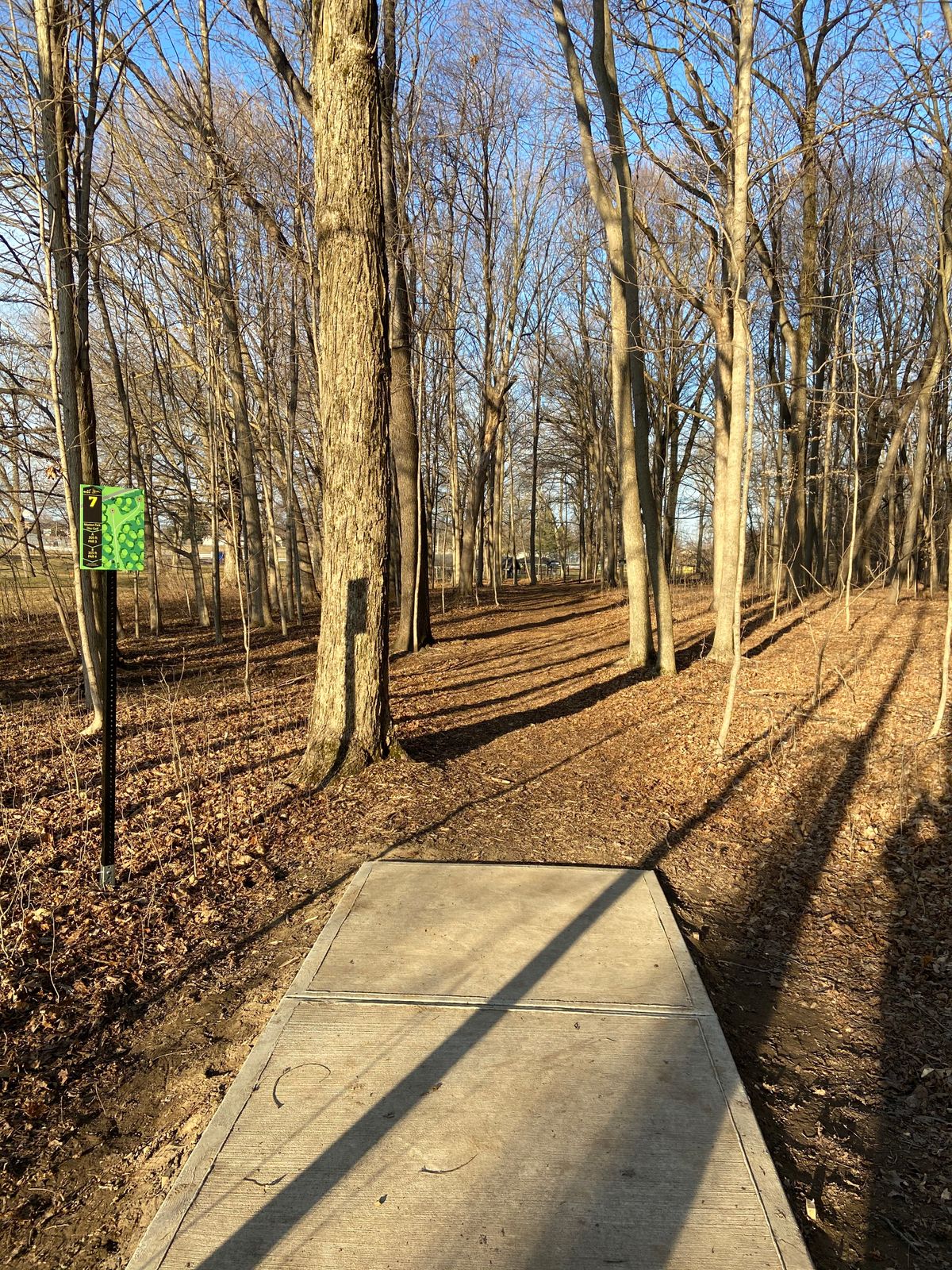 7th Tee