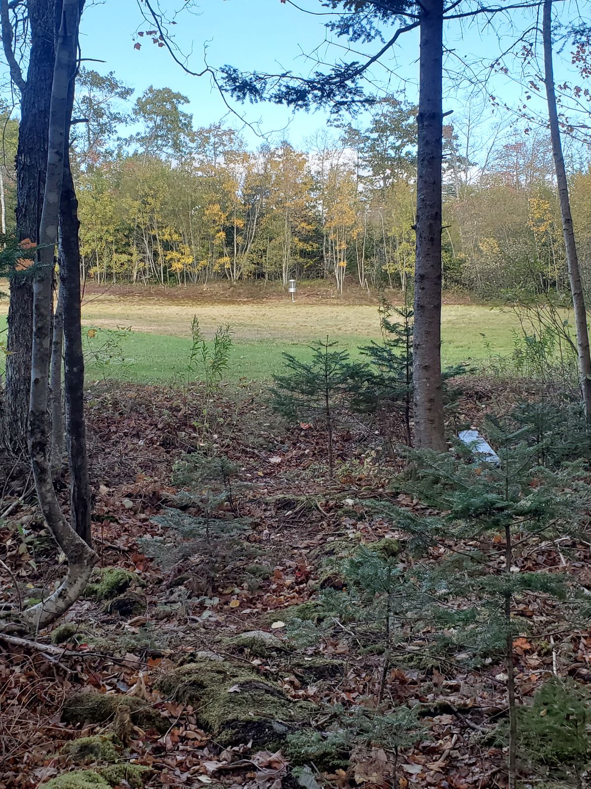 Tee box 9
