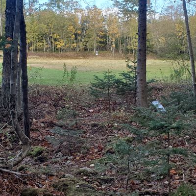 Tee box 9