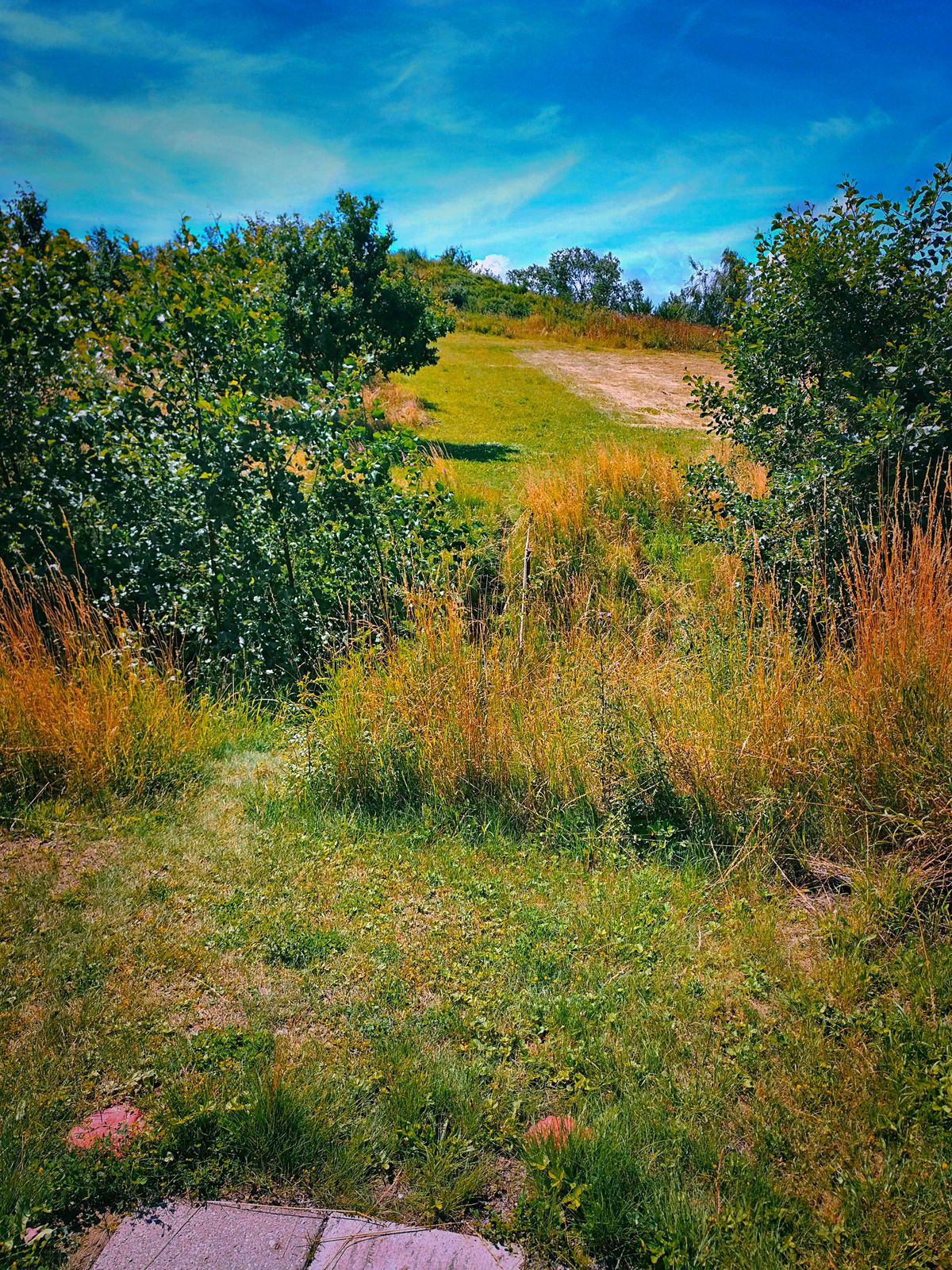 Hole 6 - Basket at the top of the hill