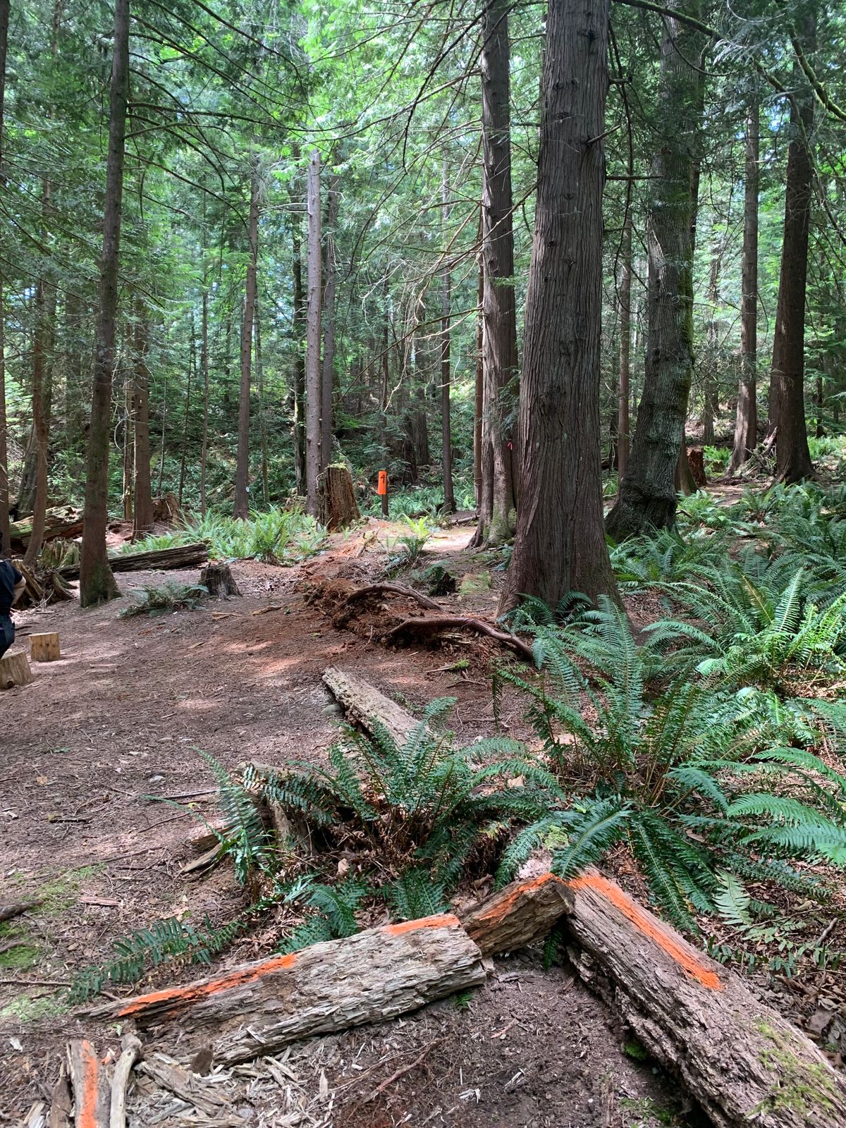 Hole 4 front