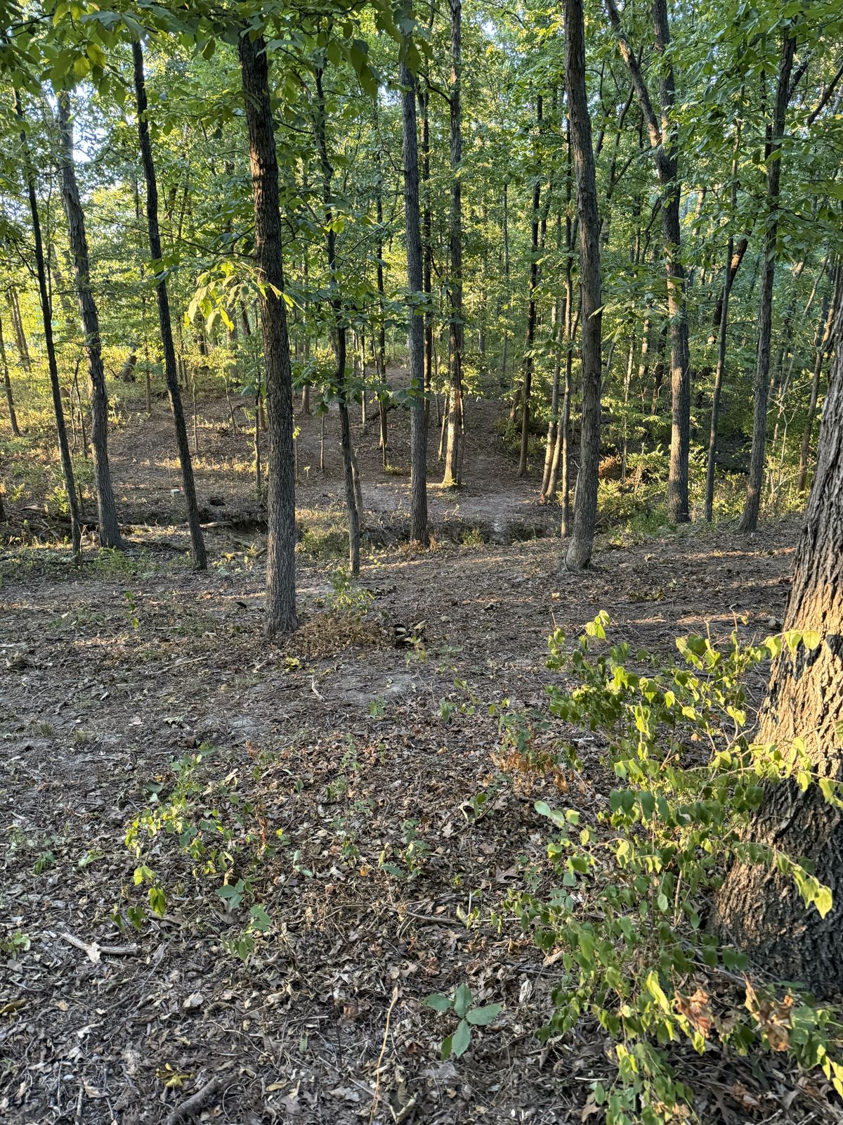Hole 11 top of hill looking down at White Tee
