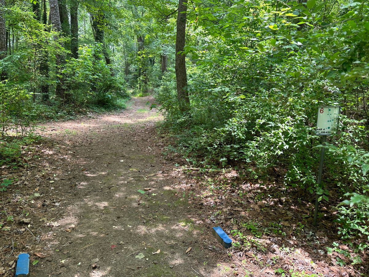 Tee 6