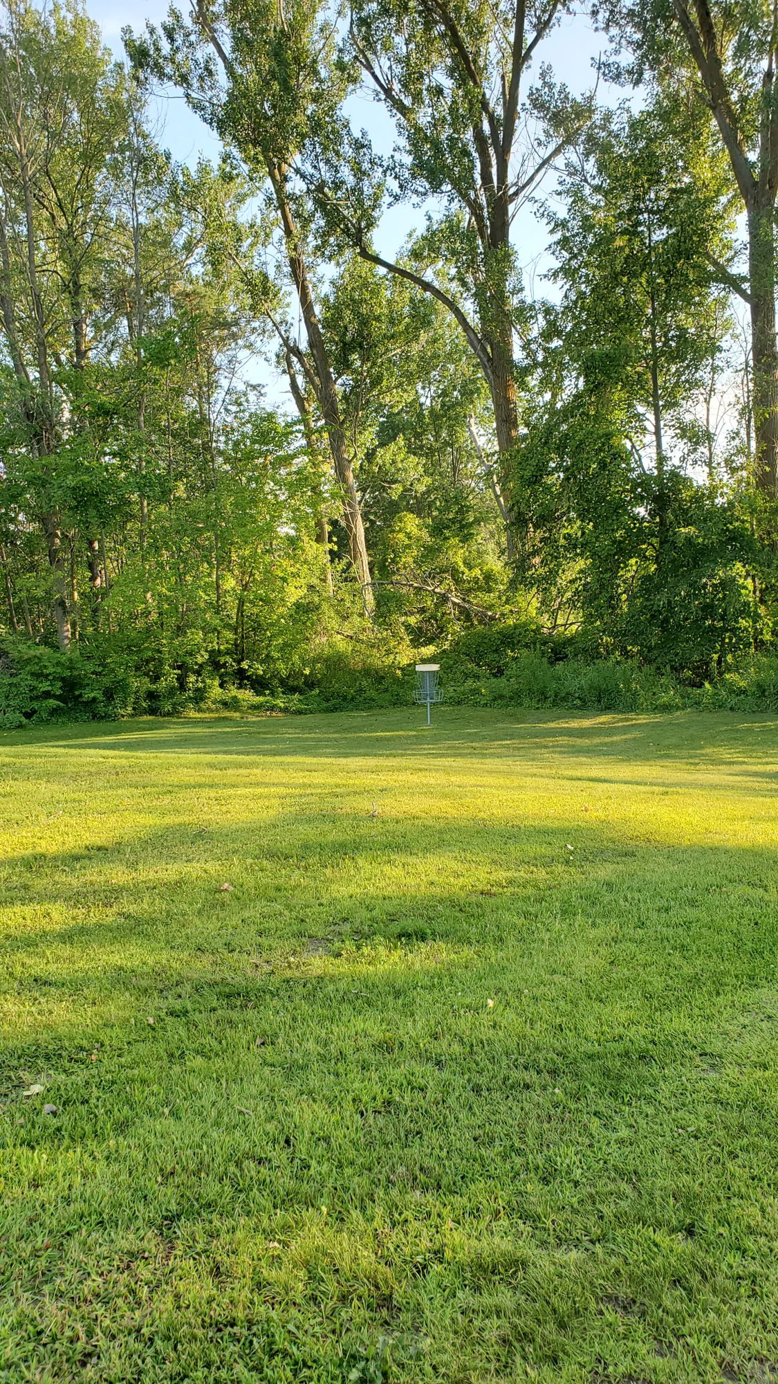 Hole 4 and 6
