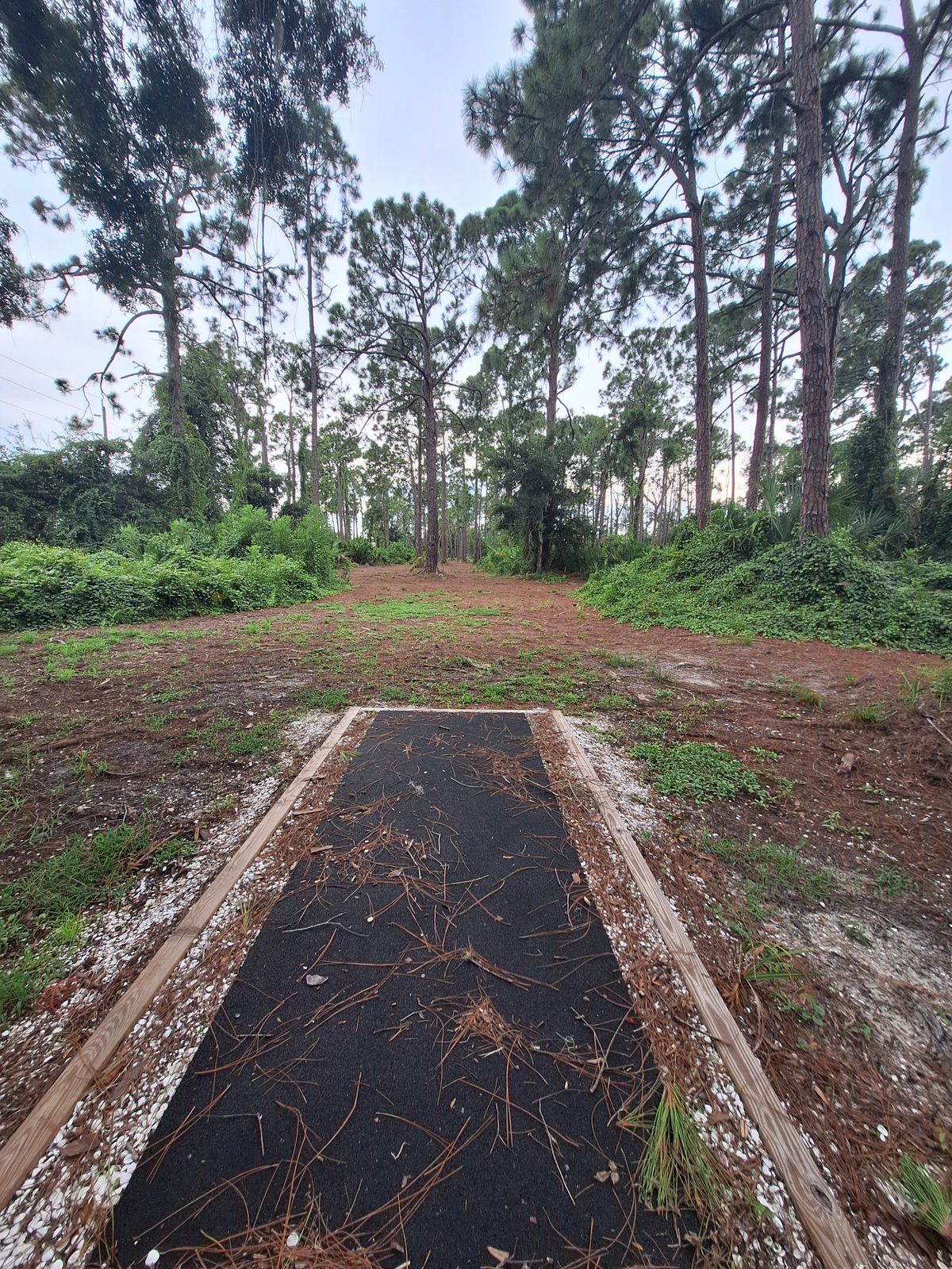 Hole 8 tee pad