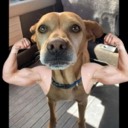 gooderlan