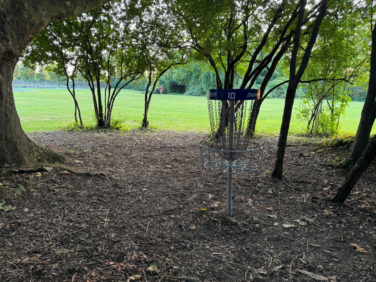 Hole 10 Basket to Green