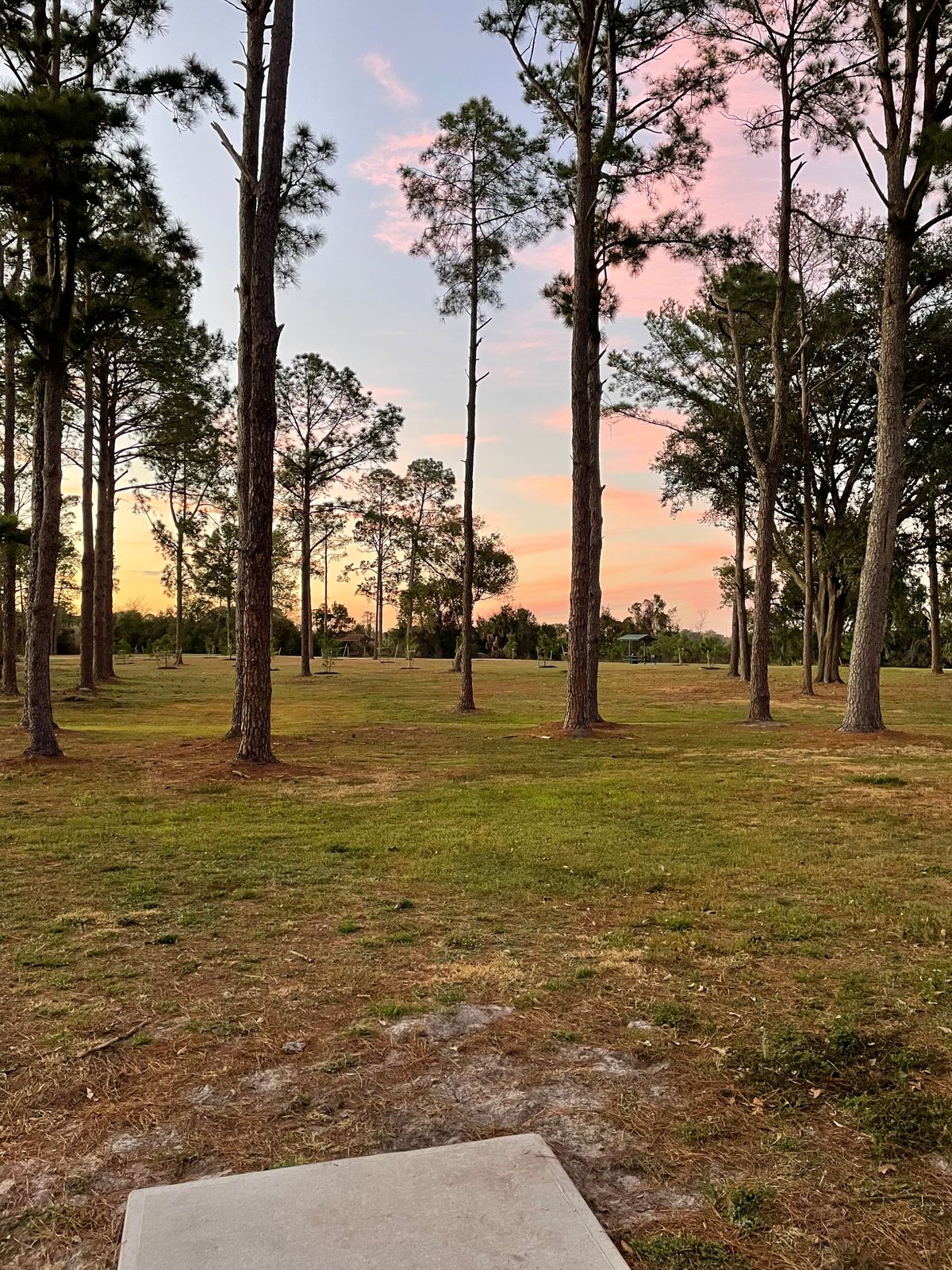 Hole 15