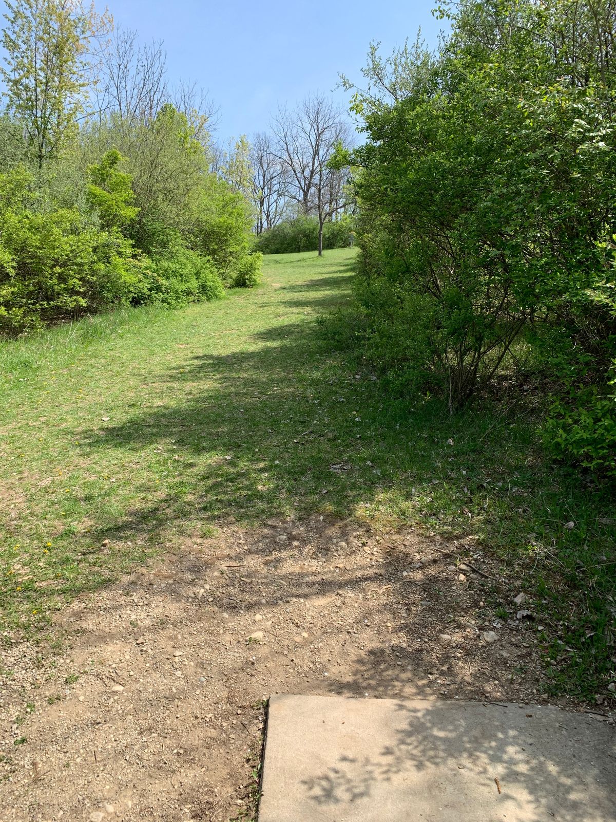 Hole 11