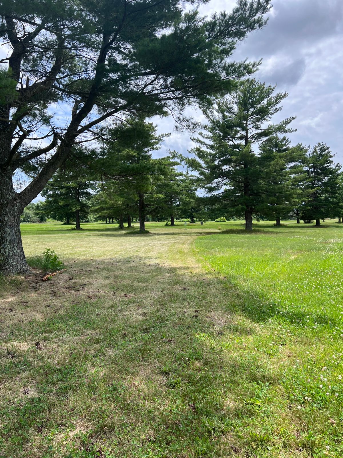 Hole 14 basket
