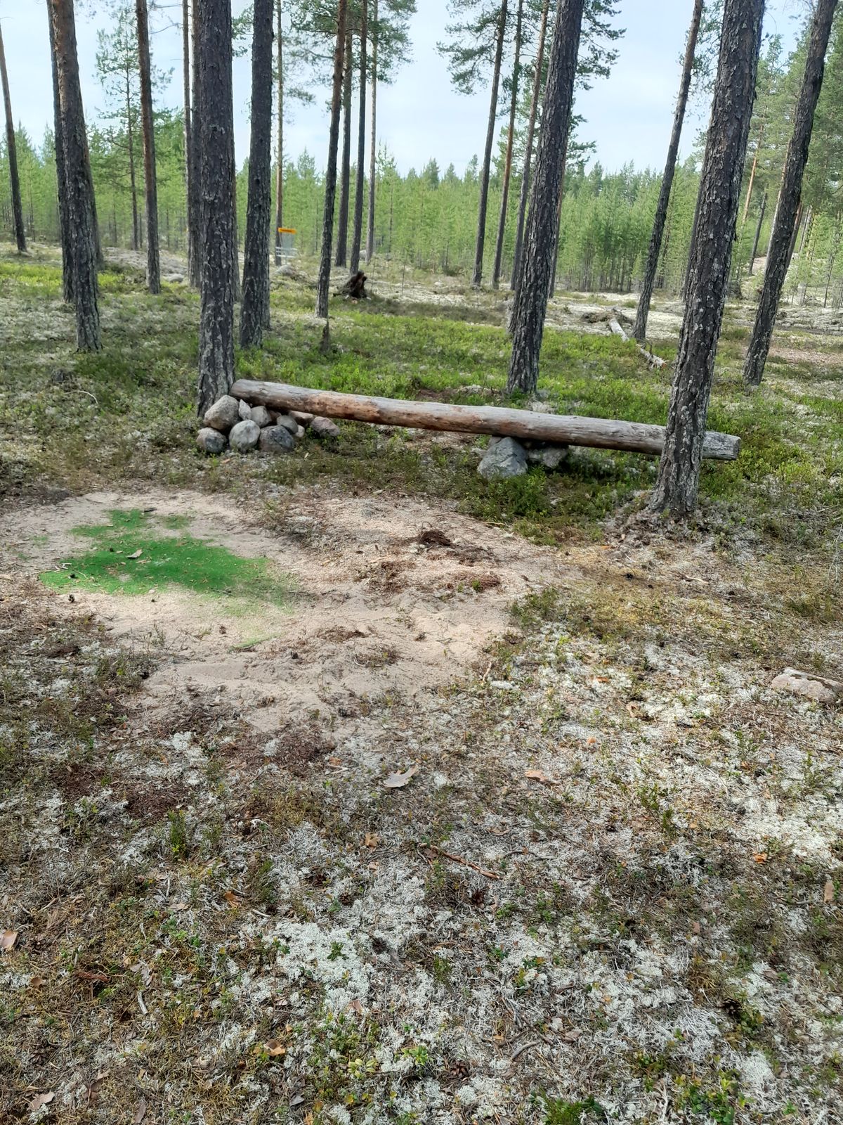 Långbänk på 13