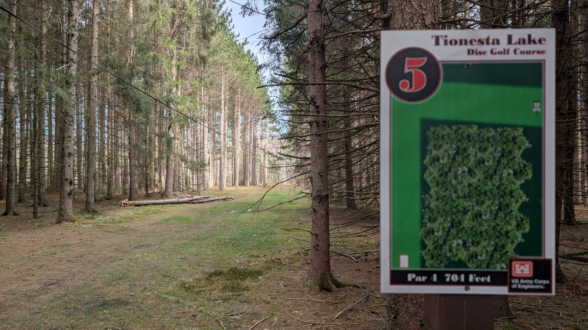 Hole 5