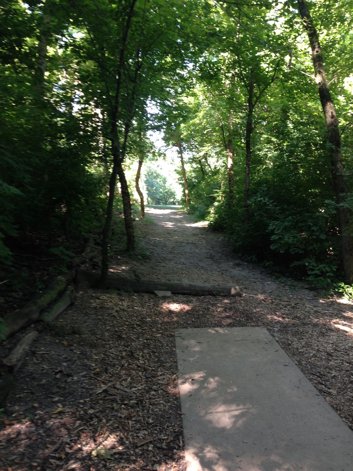 Hole 8