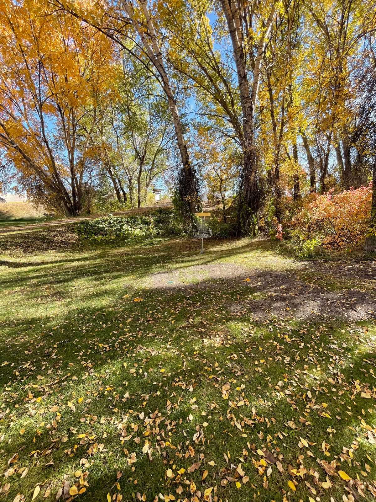 Green of hole 9E