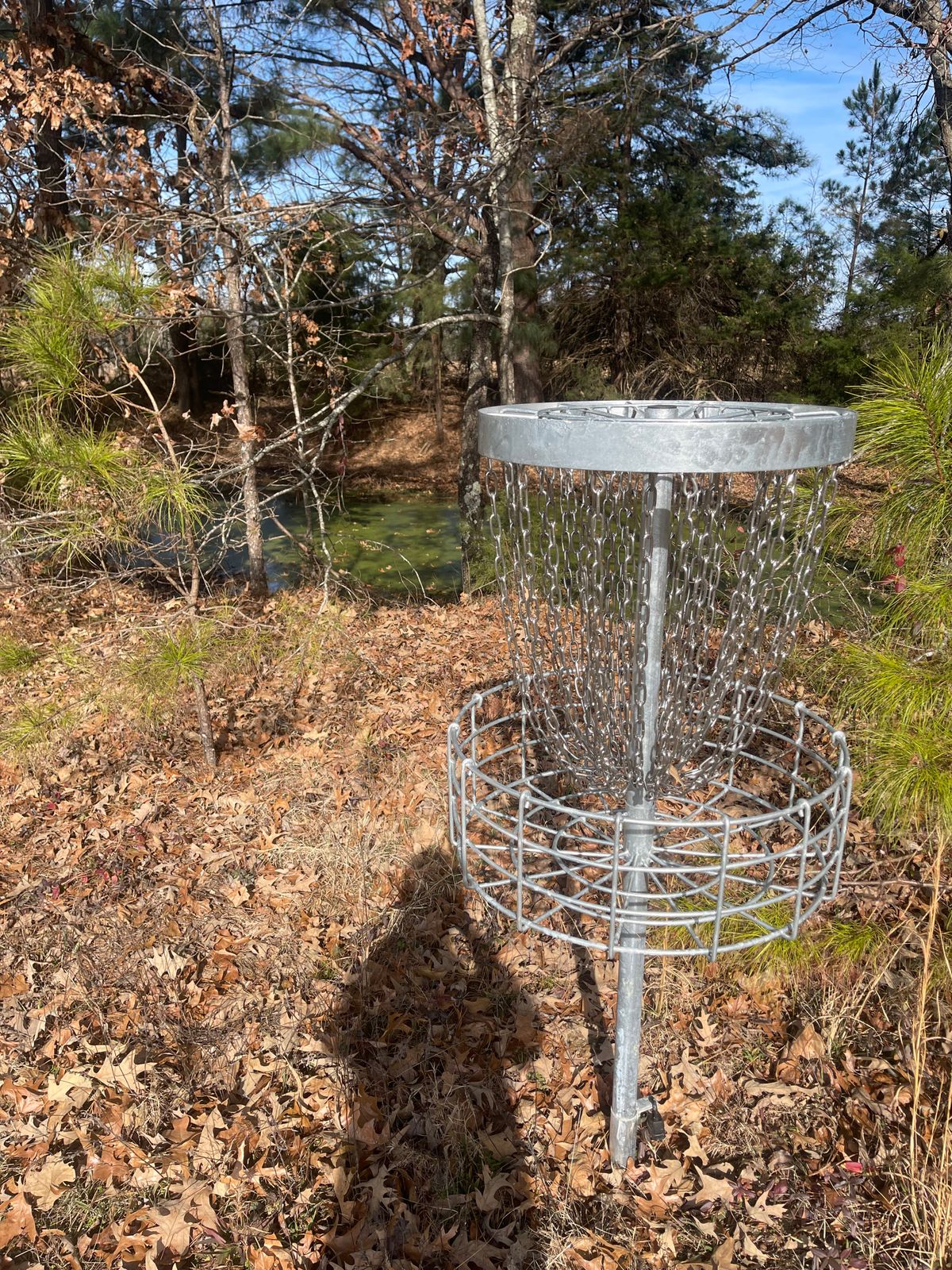 Small pond behind Hole 8 basket