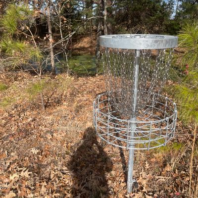 Small pond behind Hole 8 basket