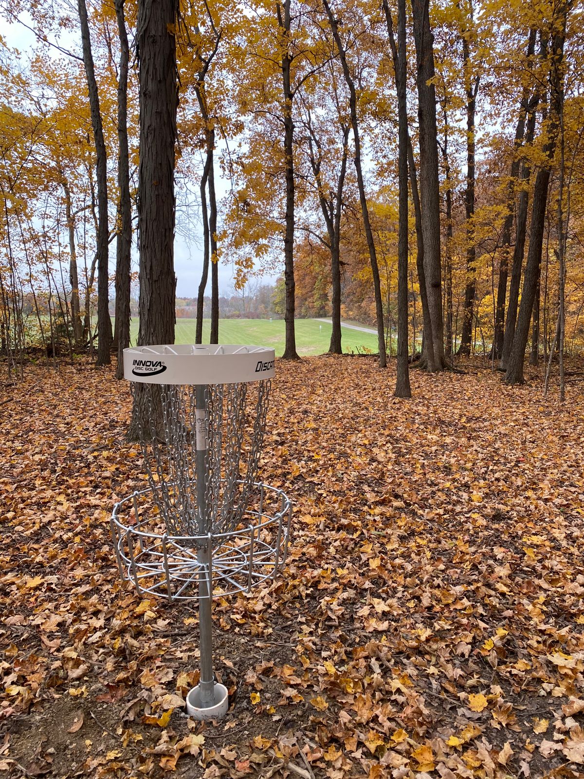 Hole #8 ends in the woods!