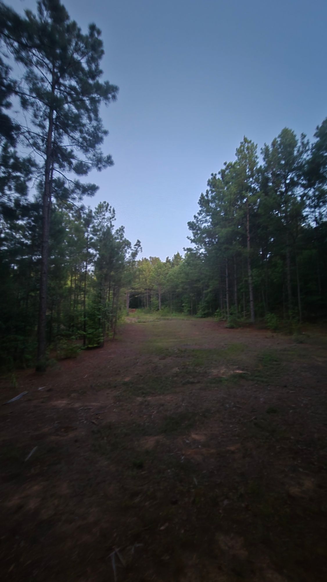 Hole 17s fairway