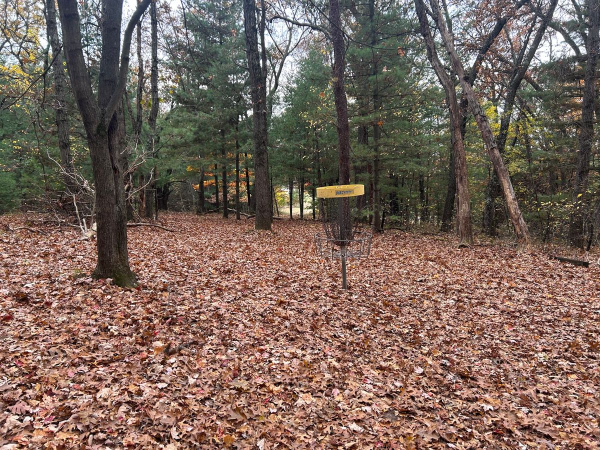 Hole 4 basket