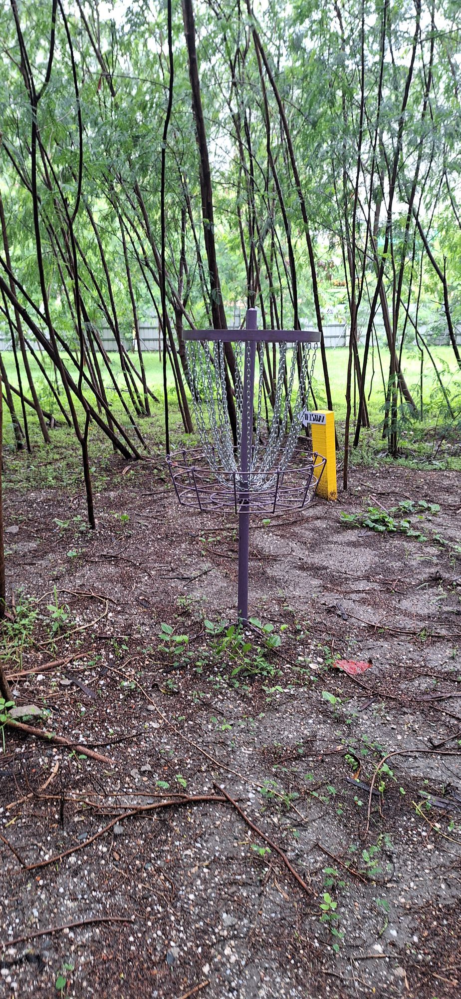 Hole 8